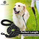 Reflective 5 FT Dog Leash with Comfort Handle