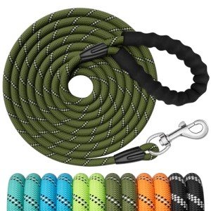5M Reflective Training Leash for Dogs - Olive