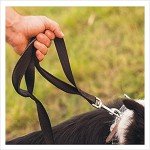 JKG® 10m Dog Training Leash for All Breeds
