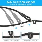 WOLMIK Adjustable Slip Lead for Small Dogs