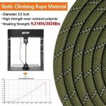 5M Reflective Training Leash for Dogs - Olive