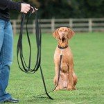 JKG® 10m Dog Training Leash for All Breeds