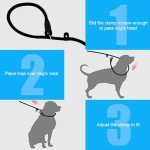 WOLMIK Adjustable Slip Lead for Small Dogs