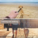 Cobee Heavy Duty Reflective Dog Leash