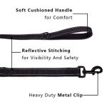 Heavy Duty Dog Leash with Control Handle