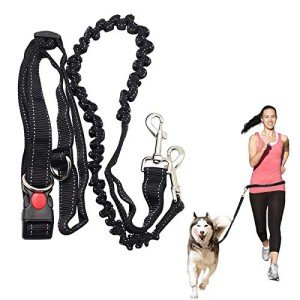 ADOGO® Hands-Free Running Dog Leash with Seat Belt