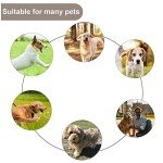 Cobee Heavy Duty Reflective Dog Leash