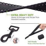 Heavy Duty Dog Leash with Control Handle