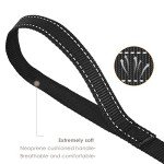 Cobee Heavy Duty Reflective Dog Leash