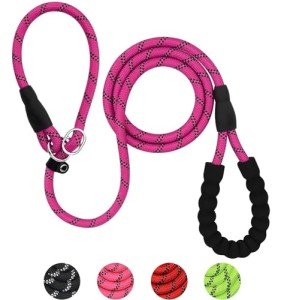 Reflective Slip Lead Dog Leash with Padded Handle