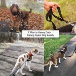 Heavy Duty Dog Leash with Control Handle