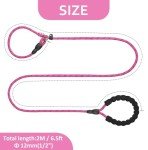 Reflective Slip Lead Dog Leash with Padded Handle