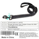 Heavy Duty Dog Leash with Control Handle