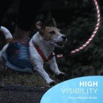 Furdreams 5ft Slip-On Dog Leash with Padded Handle