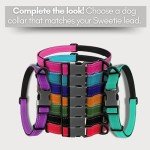 Sweetie Black Rope Dog Leash with Padded Handles