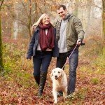 Furdreams 5ft Slip-On Dog Leash with Padded Handle