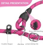 Reflective Slip Lead Dog Leash with Padded Handle