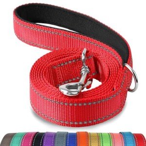 Reflective Nylon Dog Lead with Padded Handle