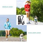 ADOGO® Hands-Free Running Dog Leash with Seat Belt