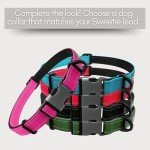 Sweetie Bungee Dog Lead - Shock Absorbing Leash