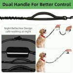 Philorn Adjustable Hands-Free Dog Lead for Active Dogs