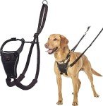 Medium No-Pull Dog Harness - Easy Adjust & Reflective