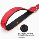 Reflective Nylon Dog Lead with Padded Handle