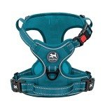 PoyPet Reflective No Pull Dog Harness - Medium