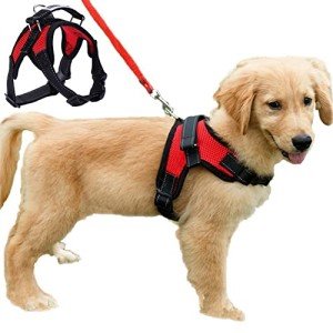 Adjustable No-Pull Dog Harness Vest - Red