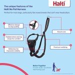Medium No-Pull Dog Harness - Easy Adjust & Reflective