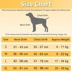 Funfox No-Pull Adjustable Dog Harness with Handle