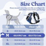 Rabbitgoo Blue Medium No-Pull Dog Harness