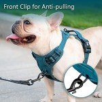 PoyPet Reflective No Pull Dog Harness - Medium