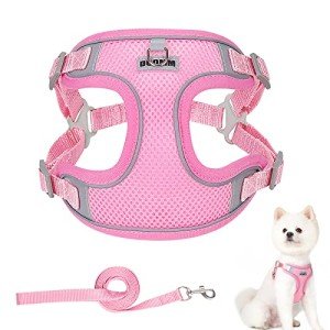 Adjustable No-Pull Dog Harness and Leash Set