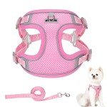 Adjustable No-Pull Dog Harness and Leash Set