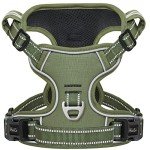 Reflective Padded Dog Harness for All Sizes