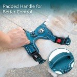 PoyPet Reflective No Pull Dog Harness - Medium