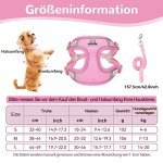 Adjustable No-Pull Dog Harness and Leash Set