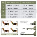 Reflective Padded Dog Harness for All Sizes