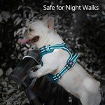 PoyPet Reflective No Pull Dog Harness - Medium