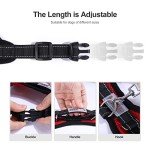 Adjustable No-Pull Dog Harness Vest - Red