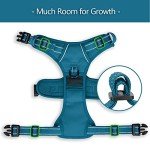 PoyPet Reflective No Pull Dog Harness - Medium