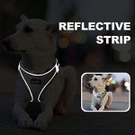 Adjustable No-Pull Dog Harness and Leash Set