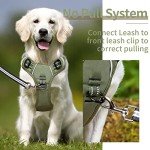 Reflective Padded Dog Harness for All Sizes