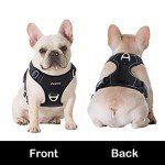 Funfox No-Pull Adjustable Dog Harness with Handle