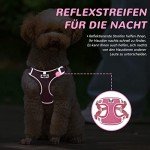 Adjustable No-Pull Dog Harness and Leash Set