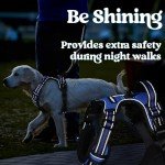 Rabbitgoo Blue Medium No-Pull Dog Harness