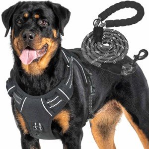 Haapaw Tactical Dog Harness for Large Breeds