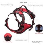 TrueLove No-Pull Dog Harness with Reflective Stitching