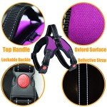 Adjustable No-Pull Dog Harness with Leash – Purple